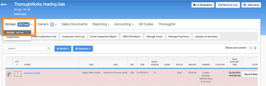 Screenshot 2024-06-26 at 5.41.19 pm