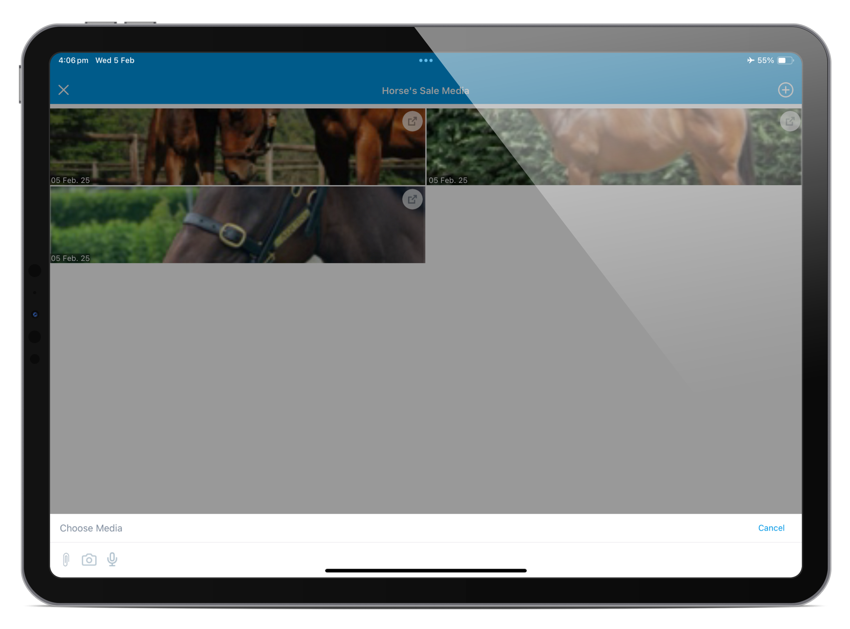 Add Horse media