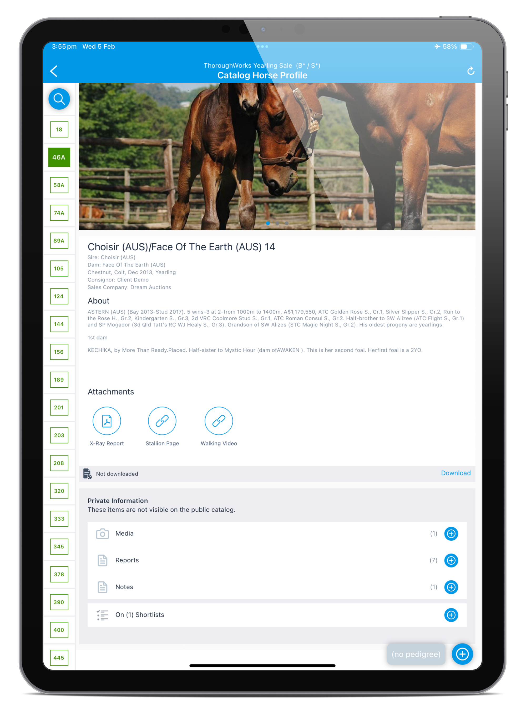Horse catalogue profile 