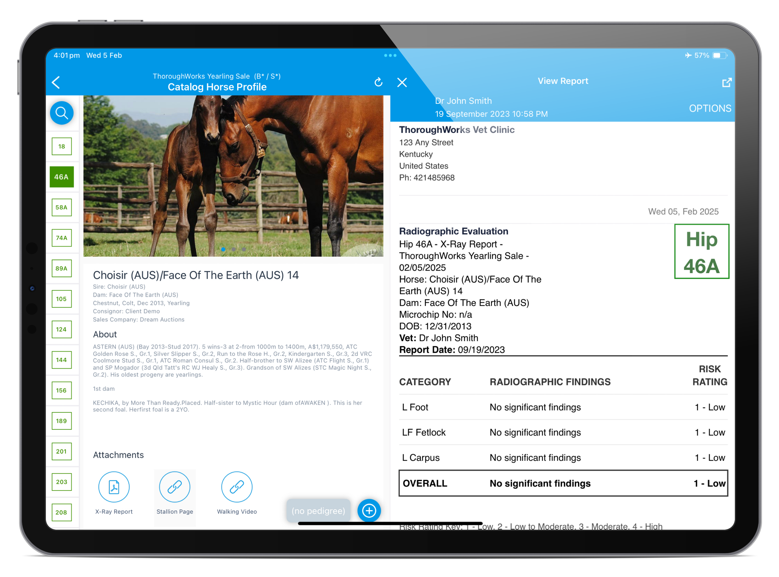Horse catalogue profile