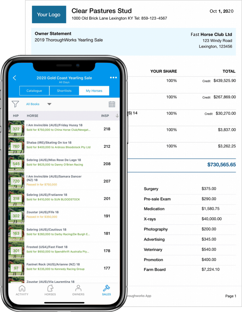 owner-statement-795x1024